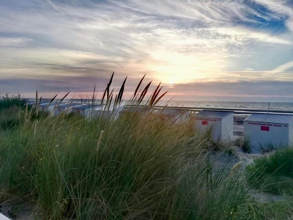 Seayousoon Nieuwpoort-Bad Esterno foto